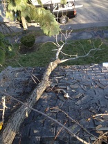 Storm Damage Roof Repair in Winchester, MA